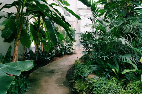 Blog